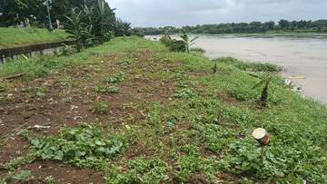 Warga Rorotan Memanfaatkan Tanggul BKT Menjadi Ruang Hijau 