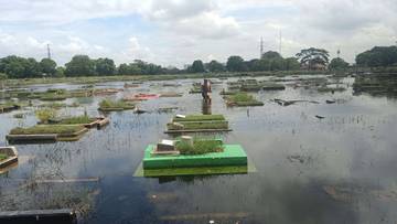 Ribuan Makam TPU Budi Darma Semper Terendam Banjir