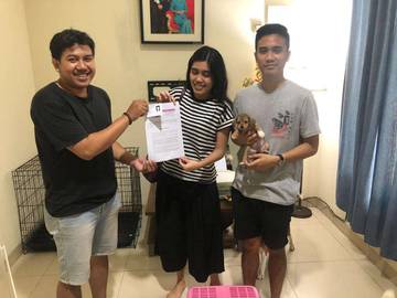 Animal Lovers Bersatu, Menguatkan Gerakan Peduli Kesejahteraan Hewan