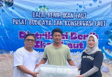 Ribuan Benih Ikan Disiapkan PKL untuk Kelompok Pembudidaya 