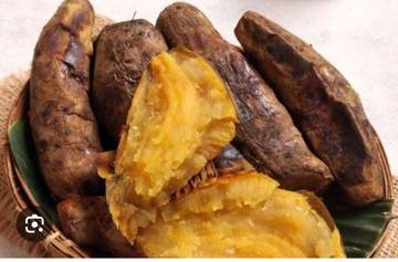 Ubi Cilembu Tren Makanan Sehat kaya Nutrisi