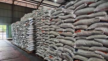 Stok Beras Bulog Jambi Masih Terbatas