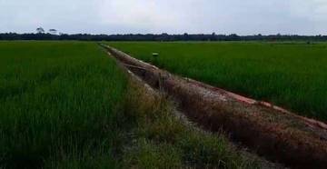 Ubah Pola Pikir Petani Jadi Tantangan Utama
