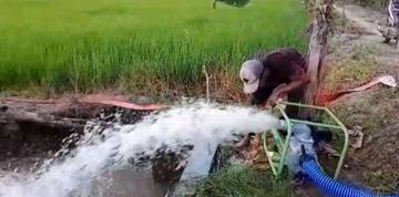 Penyuluh Ujung Tombak Swasembada Pangan di Batanghari