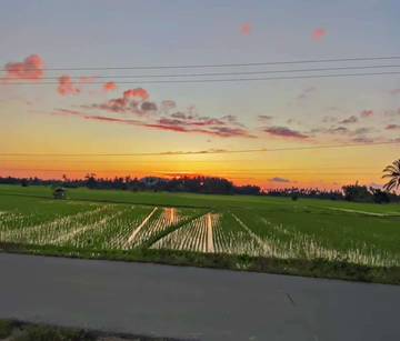 Cuaca Ekstrem Hambat Program Cetak Sawah Batang Hari