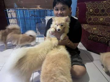 Rahasia Pemberian Makanan Tepat agar Bulu Anjing Lebat