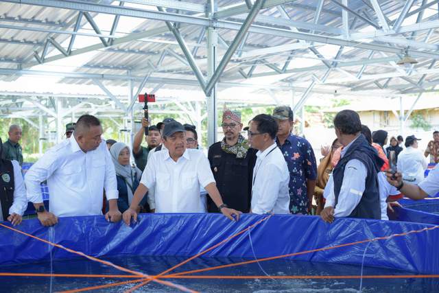 Menteri KKP Kunjungi KK-26 Tinjau Budidaya Lele