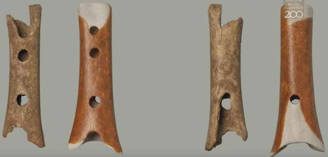 Menelusuri Sejarah Alat Musik Tertua di Dunia