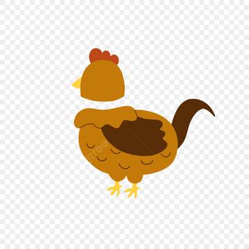 Ayam Bisa Hidup Tanpa Kepala  