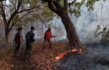 Kebakaran Sarasahan Daun Jati di Hutan Baluran Meluas 