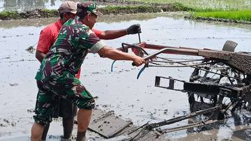 Petani Padi Lumajang Olah lah Lahan Jelang Masa Tanam