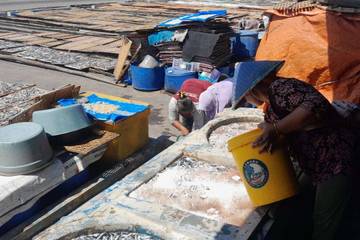 Produksi Ikan Asin Muncar Menurun Akibat Bahan Baku