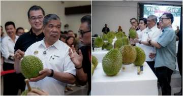 Musang King Dinobatkan sebagai “King of Kings” 