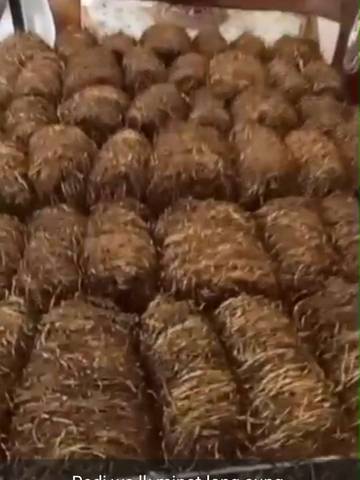 Petani Tembakau Rajang Senang Meraup Keuntungan Puluhan Juta