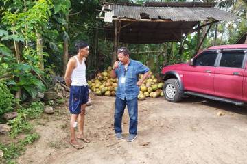 Pengepul Kelapa di Glagah Terluka Saat Gagalkan Pencurian