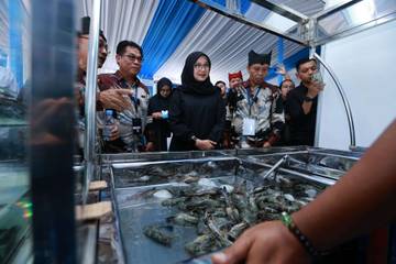 Forum Shrimp Fair Banyuwangi Bahas Ekspor Udang Nasional