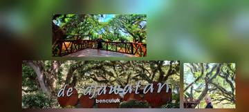 Djawatan, Hutan Alami yang Bikin Terpukau