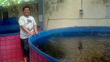 Tips Koi Aman dan Sehat di Musim Hujan