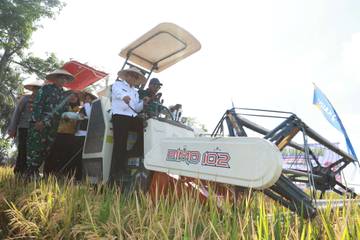 Banyuwangi Jadi Penopang Swasembada Pangan