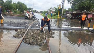 Jalur Pantura Pulih, Operasional KA Pandalungan-Blambangan Normal
