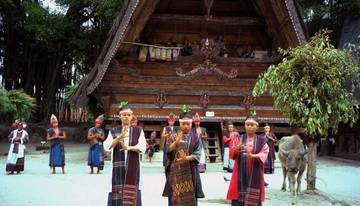 Sari Matua: Kehormatan Bagi Orang Tua Suku Batak