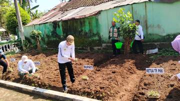 Ribuan Bibit Sayur Buah Gratis untuk Warga Pakem