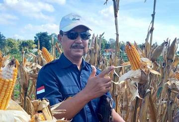 Akademisi Soroti Minat Anak Muda terhadap Pangan Lokal