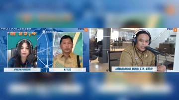 Sinergi Pemerintah Perkuat Industri Tembakau Bondowoso Berkelanjutan