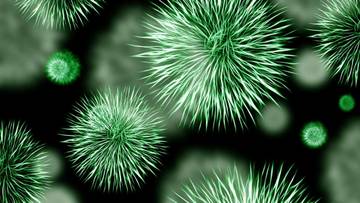 Mikrobioma Tubuh Berperan dalam Kualitas Tidur