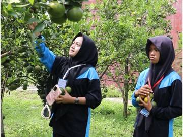 Polije Buka Paket Agrowisata Edukatif