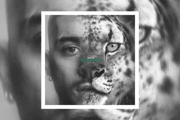 Zayn Malik Rilis Single Baru Die For Me
