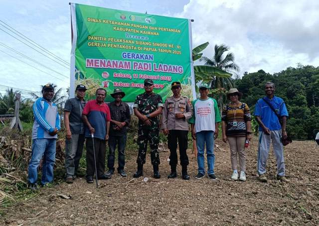 Panitia Sinode VI Gereja Pentakosta Tanam Padi Ladang
