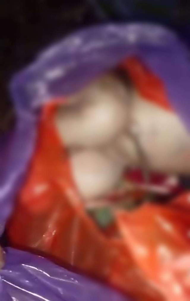 Jasad Bayi Terbungkus Plastik Ditemukan Warga Kaimana 