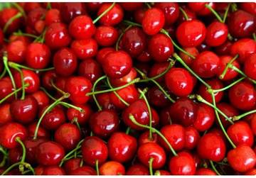 Buah Ceri Bisa Obati Diabetes, Mitos atau Fakta