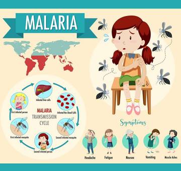 Lima Fakta Mematikan tentang Malaria