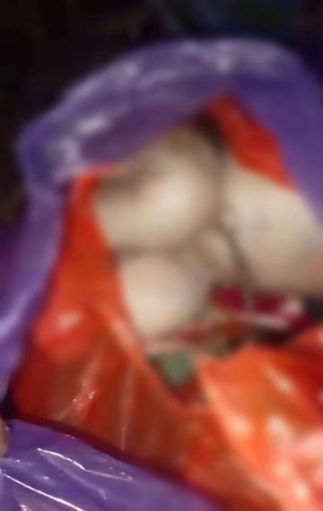 Jasad Bayi Terbungkus Plastik Ditemukan Warga Kaimana 