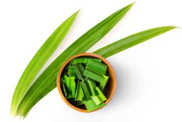 Manfaat Rebusan Daun Pandan dan Tips Aman Mengonsumsinya
