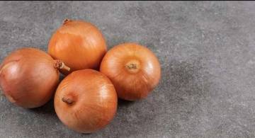 Manfaat Kesehatan Utama Bawang Bombai