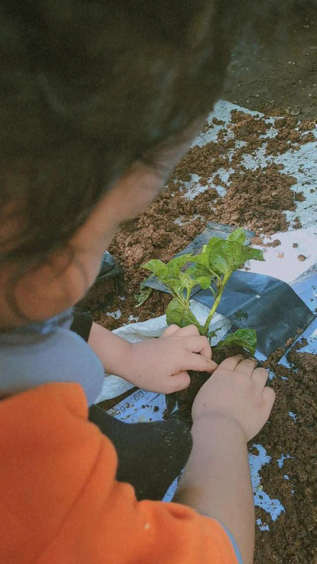 Mengajari Anak Mengenal Alam