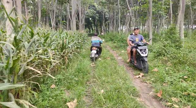 Pengunjung Wisata Watu Gajah Harap Jalan Layak