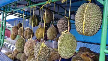 Sentra Durian GOR Jayabaya jadi Jujukan Saat Libur Panjang