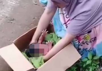 Miris! Pembuangan Bayi Di Jombang Kembali Terjadi