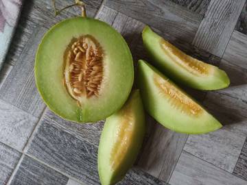 Melon Buah Segar untuk Cuaca Panas