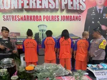 Dalang Kebun Ganja Jombang Ngaku Berprofesi Penulis