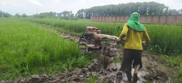 Dispertabun Kediri Fokus Swasembada Tiga Komoditas Utama 