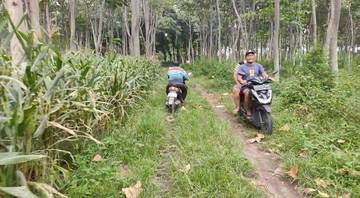 Pengunjung Wisata Watu Gajah Harap Jalan Layak