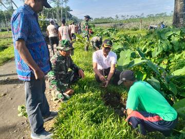 Perhutani Kediri Tanam Ratusan Bibit Pohon 