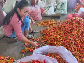 Harga Cabai di Kediri Melonjak Hingga 81 Ribu