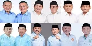 Kepala Daerah Terpilih di 6 Kabupaten di Sultra Dilantik Februari 