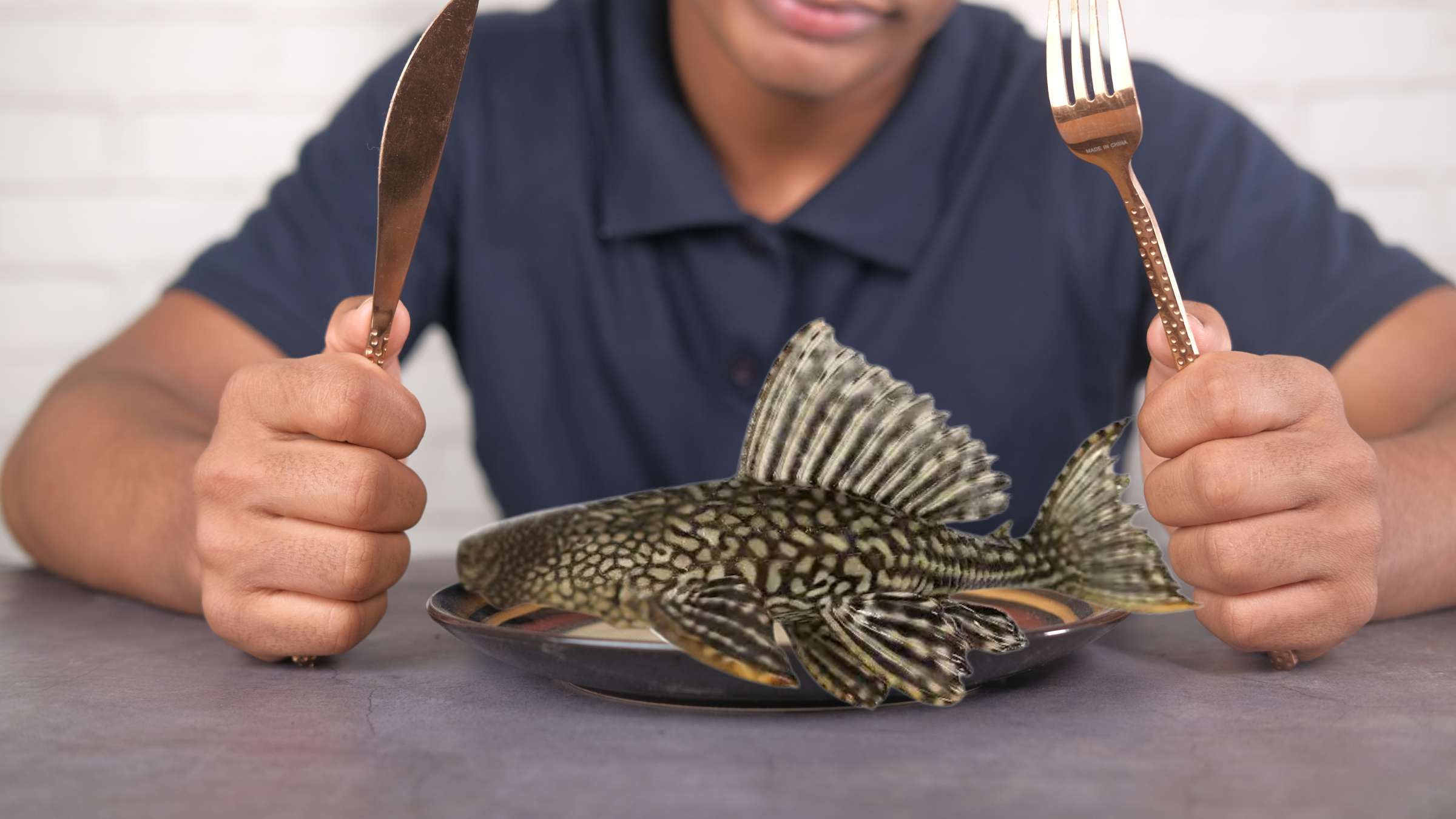 Layakkah Ikan Sapu-Sapu jadi Bahan Makanan? Ini Penjelasannya